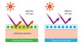 Diagram of chemical sunscreen and physical sunscreen